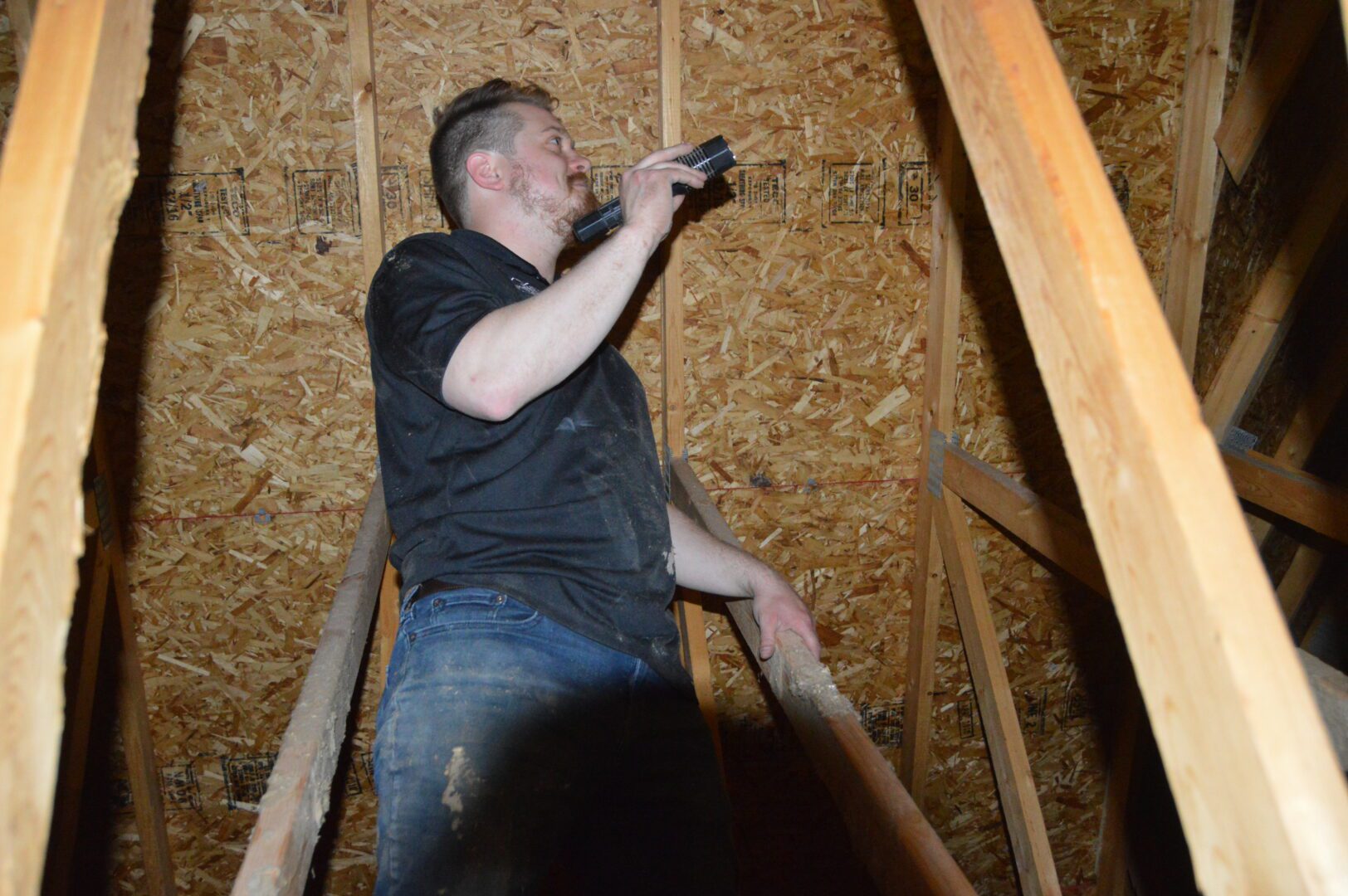 A man inspecting a ceiling